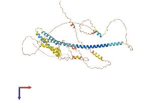 AlphaFold protein structure predicition of Mouse Recombinant Tmem266 Protein, UniprotID Q8BZB3 (Tmem266 Protein (AA 1-538) (His tag))