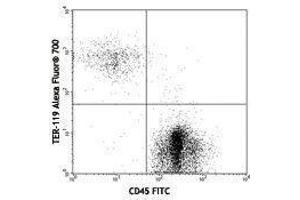 Flow Cytometry (FACS) image for anti-Erythroid Cells antibody (Alexa Fluor 700) (ABIN2667350) (Erythroid Cells antibody  (Alexa Fluor 700))