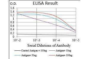 Black line: Control Antigen (100 ng), Purple line: Antigen(10 ng), Blue line: Antigen (50 ng), Red line: Antigen (100 ng), (BDNF antibody  (AA 19-248))