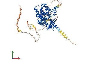 AlphaFold protein structure predicition of Human Recombinant PDE7A Protein, UniprotID Q13946 (PDE7A Protein (AA 1-482) (His tag))