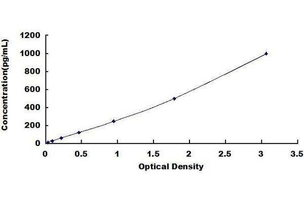 NEFL ELISA Kit