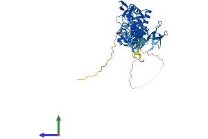 AlphaFold protein structure predicition of Mouse Recombinant Rnf14 Protein, UniprotID Q9JI90 (RNF14 Protein (AA 1-485) (His tag))