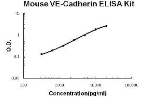 Mouse VE-Cadherin/CD144 PicoKine ELISA Kit standard curve