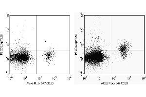 Flow Cytometry (FACS) image for anti-CD22 Molecule (CD22) (pTyr822) antibody (PE) (ABIN1177229) (CD22 antibody  (pTyr822) (PE))