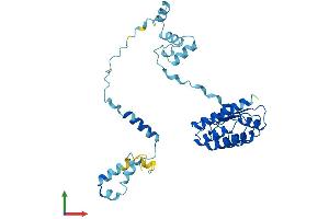 AlphaFold protein structure predicition of Human Recombinant TMOD4 Protein, UniprotID Q9NZQ9