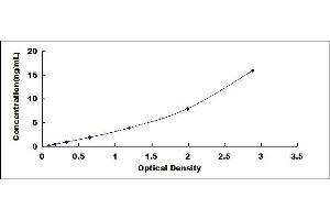 Typical standard curve (KNG1 ELISA Kit)