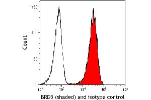 Flow Cytometry (FACS) image for anti-Bromodomain Containing 3 (BRD3) (AA 676-726) antibody (ABIN7455203) (Recombinant BRD3 antibody  (AA 676-726))