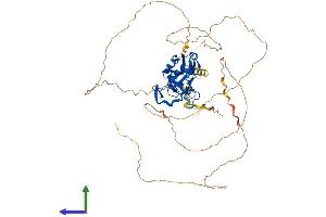 AlphaFold protein structure predicition of Human Recombinant TBX15 Protein, UniprotID Q96SF7 (T-Box 15 Protein (TBX15) (AA 1-602) (His tag))