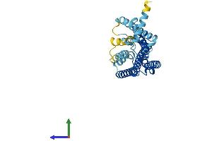 AlphaFold protein structure predicition of Human Recombinant OR56B1 Protein, UniprotID Q8NGI3 (OR56B1 Protein (AA 1-324) (His tag))