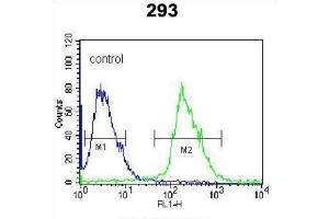 Flow Cytometry (FACS) image for anti-Kallikrein 6 (KLK6) antibody (ABIN3002615) (Kallikrein 6 antibody)