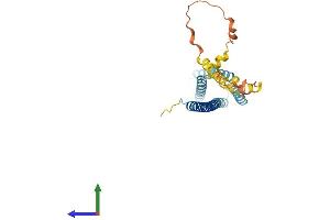 Protein Structure (PS) image for Hydrogen Voltage-Gated Channel 1 (HVCN1) (AA 1-273) protein (His tag) (ABIN7548375)