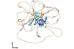 Protein Structure (PS) image for Bromo Adjacent Homology Domain Containing 1 (BAHD1) (AA 1-772) protein (His tag) (ABIN7563775)