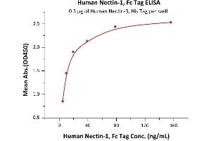 Immobilized Human Nectin-3, His Tag (ABIN4949136,ABIN4949137) at 5 μg/mL (100 μL/well) can bind Human Nectin-1, Fc Tag (ABIN6951010,ABIN6952290) with a linear range of 0. (PVRL1 Protein (AA 31-334) (Fc Tag))