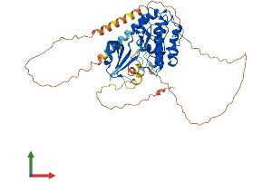 Protein Structure (PS) image for Calcium/calmodulin-Dependent Protein Kinase IV (CAMK4) (AA 1-473) protein (His tag) (ABIN7554230)