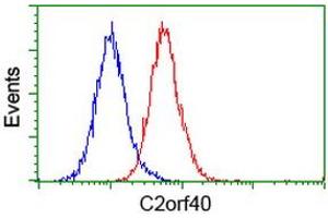 Image no. 3 for anti-Chromosome 2 Open Reading Frame 40 (C2orf40) antibody (ABIN1497047) (C2orf40 antibody)