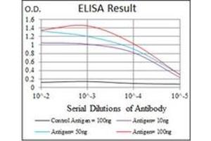 ELISA image for anti-TNF Receptor Superfamily, Member 6 (FAS) antibody (ABIN1106616) (FAS antibody)