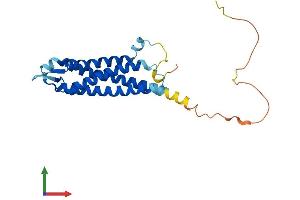 AlphaFold protein structure predicition of Mouse Recombinant Syngr3 Protein, UniprotID Q8R191