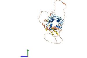 AlphaFold protein structure predicition of Human Recombinant ZNF677 Protein, UniprotID Q86XU0 (ZNF677 Protein (AA 1-584) (His tag))