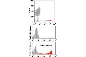 Flow cytometric analysis of human normal whole blood with CD8A monoclonal antibody, clone 143-44 (APC) .