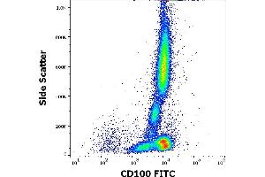 SEMA4D/CD100 antibody  (FITC)