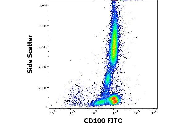 SEMA4D/CD100 抗体  (FITC)