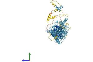 AlphaFold protein structure predicition of Mouse Recombinant Nup93 Protein, UniprotID Q8BJ71