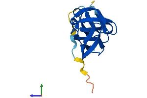 Protein Structure (PS) image for Yippee-Like 3 (YPEL3) (AA 1-119) protein (His tag) (ABIN7545236)