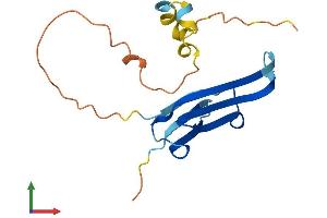 AlphaFold protein structure predicition of Mouse Recombinant Hspb3 Protein, UniprotID Q9QZ57 (HSPB3 Protein (AA 1-154) (His tag))