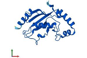 Protein Structure (PS) image for Ubiquitin-Conjugating Enzyme E2L 6 (UBE2L6) (AA 1-153) protein (His tag) (ABIN7544895)