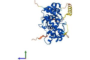AlphaFold protein structure predicition of Mouse Recombinant Otulin Protein, UniprotID Q3UCV8 (FAM105B Protein (AA 1-352) (His tag))