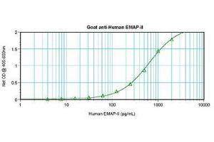 Image no. 1 for anti-AIMP1 / EMAP II antibody (ABIN465272) (AIMP1 / EMAP II antibody)
