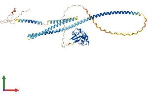Protein Structure (PS) image for Scavenger Receptor Class A, Member 5 (SCARA5) (AA 1-495) protein (His tag) (ABIN7555337)