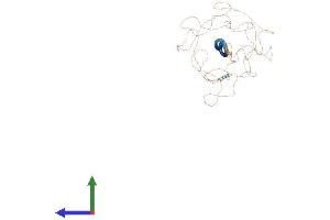 AlphaFold protein structure predicition of Mouse Recombinant Ccdc73 Protein, UniprotID Q8CDM4 (CCDC73 Protein (AA 1-1066) (His tag))