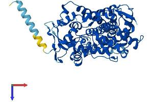 AlphaFold protein structure predicition of Mouse Recombinant Cyp2c54 Protein, UniprotID Q6XVG2