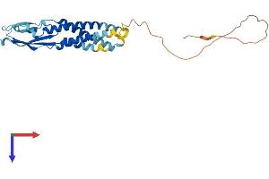 AlphaFold protein structure predicition of Mouse Recombinant Synpr Protein, UniprotID Q8BGN8 (Synaptoporin Protein (SYNPR) (AA 1-265) (His tag))