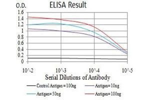 Black line: Control Antigen (100 ng),Purple line: Antigen (10 ng), Blue line: Antigen (50 ng), Red line:Antigen (100 ng) (AEBP2 antibody  (AA 358-495))