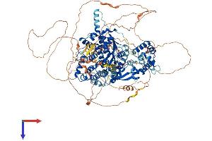 AlphaFold protein structure predicition of Mouse Recombinant Fam120c Protein, UniprotID Q8C3F2 (FAM120C Protein (AA 1-1091) (His tag))