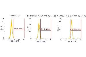 Flow Cytometry (FACS) image for anti-Interleukin 15 (IL15) (AA 49-162) antibody (PE) (ABIN5565745) (IL-15 antibody  (AA 49-162) (PE))
