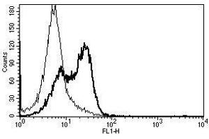 A typical staining pattern with the B-L28 monoclonal antibody of lymphocytes (CD58 antibody)