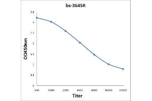 Antigen: 2 µg/100 µL  Primary: Antiserum, 1:500, 1:1000, 1:2000, 1:4000, 1:8000, 1:16000, 1:32000;  Secondary: HRP conjugated Rabbit Anti-Goat IgG at 1: 5000;  TMB staining Read the data in Microplate Reader by 450nm. (MAGEA4 antibody  (AA 110-210))