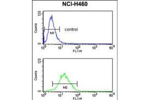 Flow cytometry analysis of NCI-H460 cells (bottom histogram) compared to a negative control cell (top histogram).