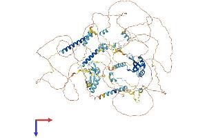 AlphaFold protein structure predicition of Human Recombinant NOL8 Protein, UniprotID Q76FK4 (NOL8 Protein (AA 1-1167) (His tag))