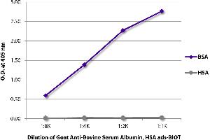 ELISA plate was coated with purified bovine serum albumin and human serum albumin. (Albumin antibody  (Biotin))