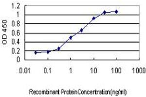Detection limit for recombinant GST tagged SSR1 is approximately 0. (SSR1 antibody  (AA 33-286))