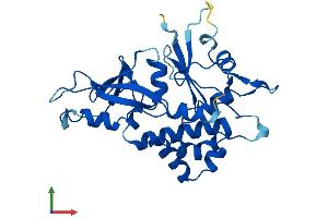 AlphaFold protein structure predicition of Human Recombinant ATG5 Protein, UniprotID Q9H1Y0 (ATG5 Protein (AA 1-275) (His tag))
