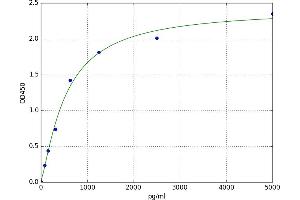 Purinergic Receptor P2Y, G-Protein Coupled, 1 (P2RY1) ELISA Kit