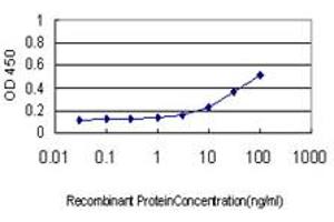 Detection limit for recombinant GST tagged NFKBIB is approximately 1ng/ml as a capture antibody. (NFKBIB antibody  (AA 56-145))