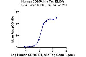 Immobilized Human CD200 at 0. (CD200 Protein (CD200) (His tag))