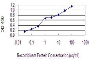 Detection limit for recombinant GST tagged EPO is 0. (EPO antibody  (AA 1-193))