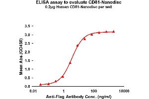 Elisa plates were pre-coated with Flag Tag CD81-Nanodisc (0. (CD81 Protein (CD81))